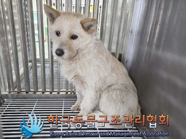 한국동물구조관리협회_441406202400299